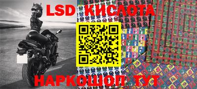 ECSTASY Канаш