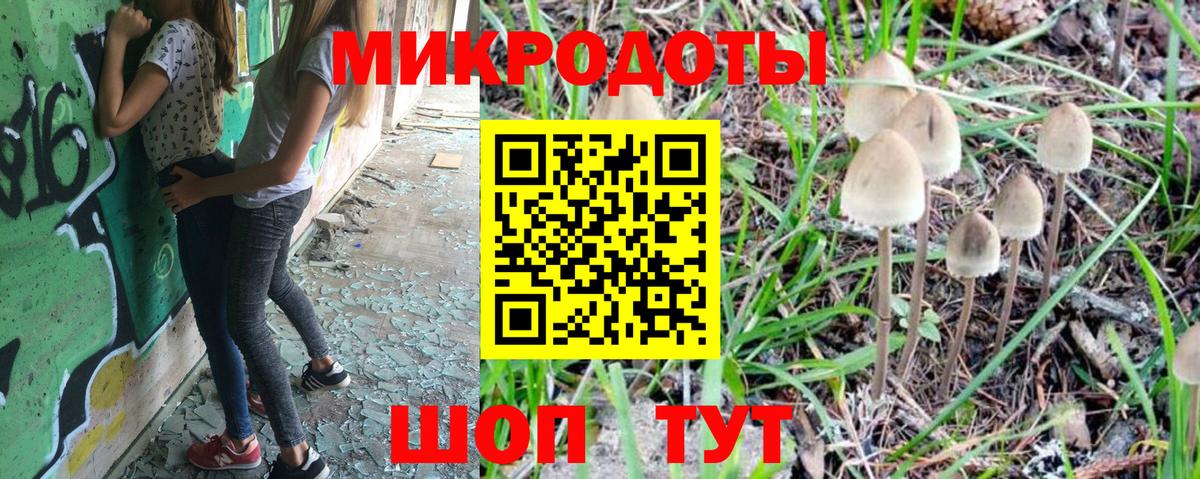 Галлюциногенные грибы Psilocybine cubensis Балтийск