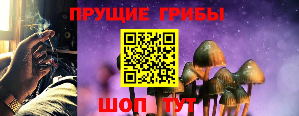 Псилоцибиновые грибы ЛСД  Вход с VPN  Балтийск 